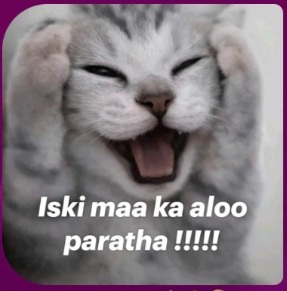 Momo chat sticker 6