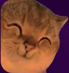 Momo chat sticker 10