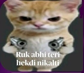Momo chat sticker 13