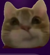 Momo chat sticker 25